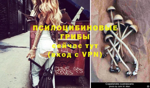 гашишное масло Арсеньев