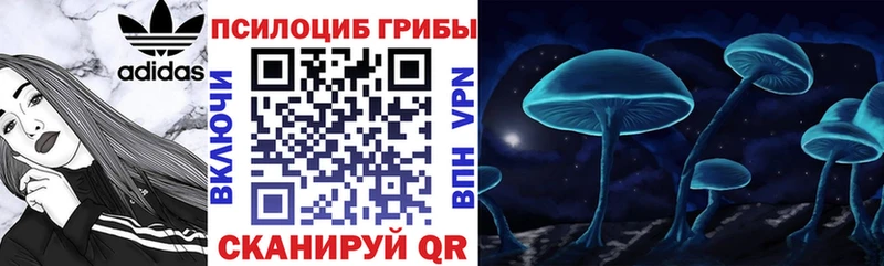Галлюциногенные грибы ЛСД Мышкин