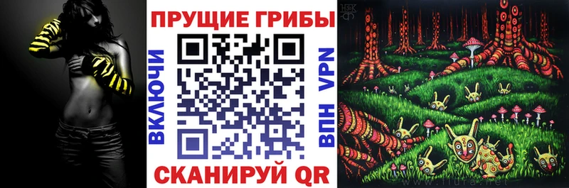 Галлюциногенные грибы GOLDEN TEACHER хочу Мышкин